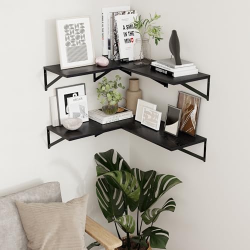 Axeman 16W x 12D Black Floating Shelves Set of 2