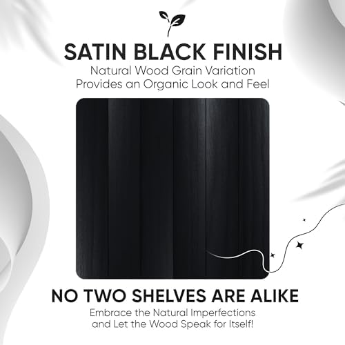 Homeforia 16 Inch Black Floating Shelves Set of 2