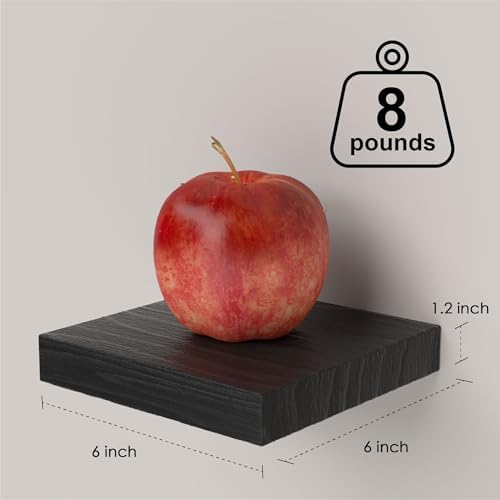 PopiShelves 3 Pack 6 Inch Mini Square Wall Shelves