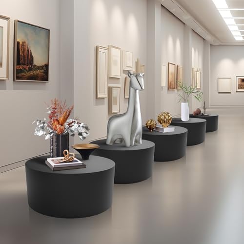 Black Round Mannequin Display Pedestal Stand