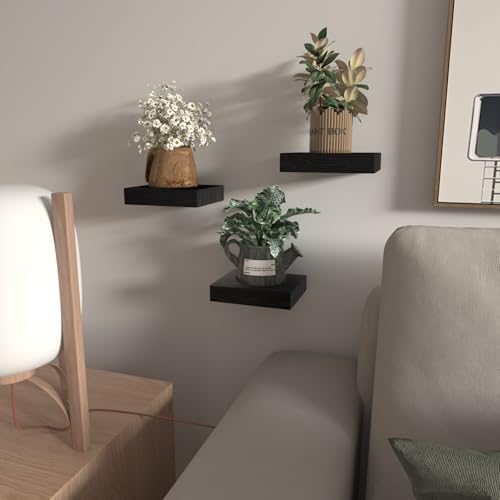 PopiShelves 3 Pack 6 Inch Mini Square Wall Shelves