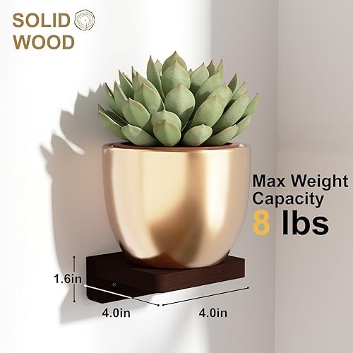 SRIWATANA 4-Pack Mini Floating Shelves for Home Decor