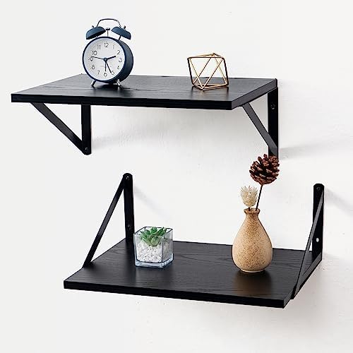 Axeman 16W x 12D Black Floating Shelves Set of 2