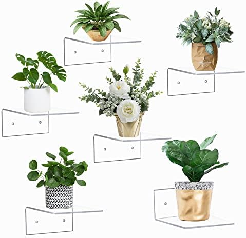 6 Pack Small Acrylic Floating Shelves for Wall Display