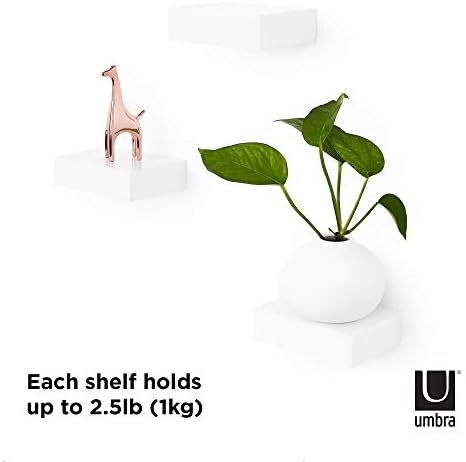 Umbra Showcase Floating Shelves Set of 3 White