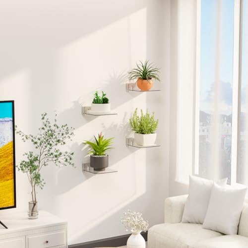 Yieach 5 Inch Mini Wall Shelf 4 Pack Clear Floating Display