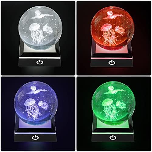 LED Light Display Stand Base with Multicolor Options