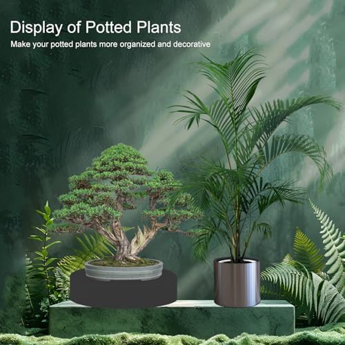 Black Round Mannequin Display Pedestal Stand