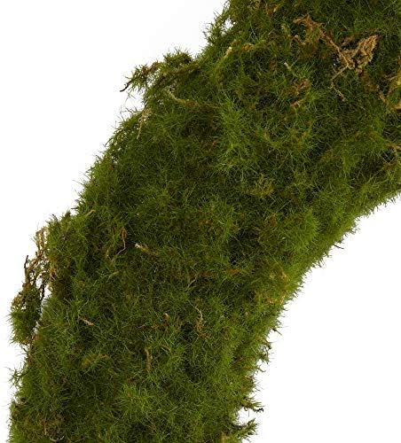Nearly Natural 20in Moss Artificial Wreath