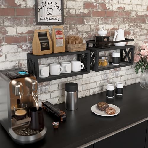 RICHER HOUSE Floating Shelves with Guardrail Black