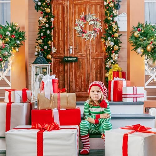 Super Holiday 20 Inch Red Christmas Wreath