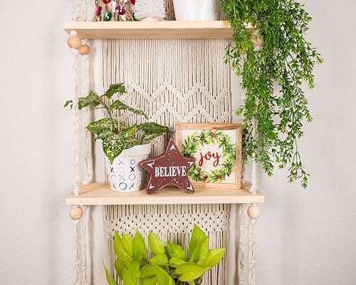 SnugLife 3 Tier Macrame Wall Shelf - Floating Plant Hanger with Pine Wood