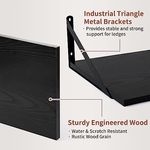 Axeman 16W x 12D Black Floating Shelves Set of 2