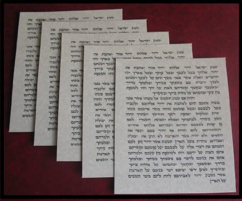 Lot of FIVE Non Kosher Scroll Parchment for Mezuzah Cases 12cm