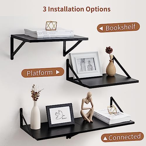 Axeman 16W x 12D Black Floating Shelves Set of 2