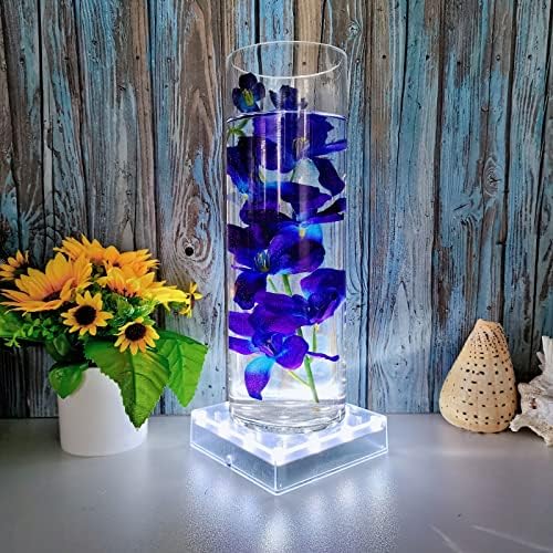 LARDUX 4 Pack LED Light Base for Glass Art Display