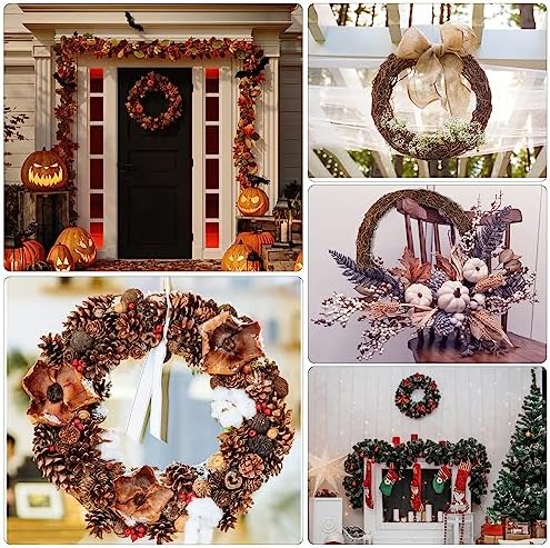 Natural Grapevine Wreath Base 14 Inch 2 Pack