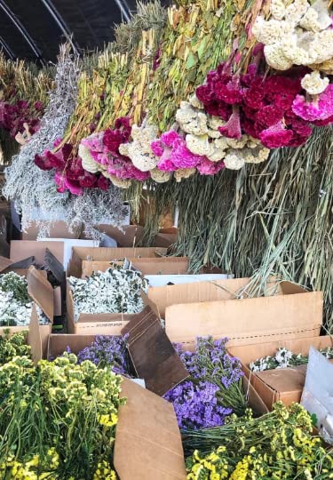 VanCortlandt Farms Dried Flower Hummingbird Wreath