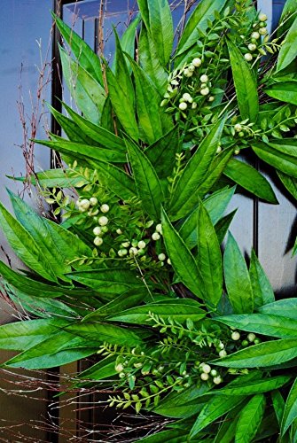 XLarge Bay Leaf Wreath for Front Door Decor