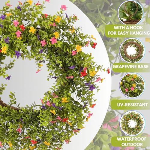 20 Inch Boxwood Wreath with Colorful Flowers