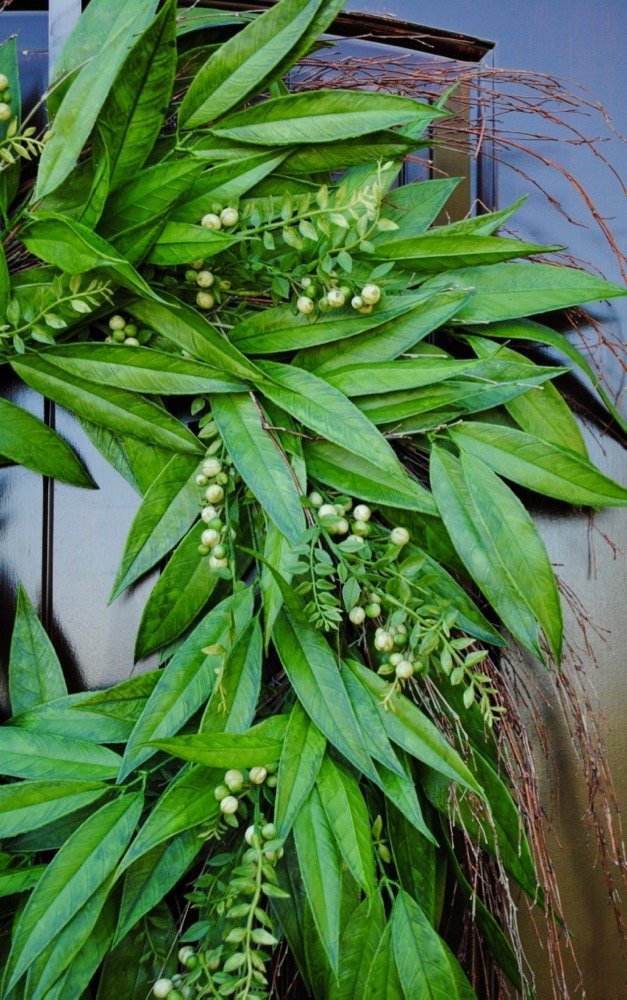 XLarge Bay Leaf Wreath for Front Door Decor
