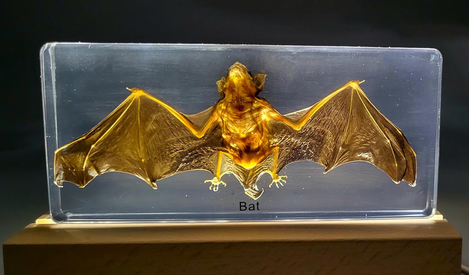 59 Inch Wooden Rectangle LED Display Base with USB Switch