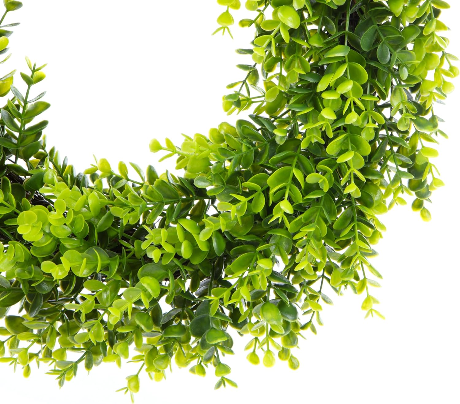 20 Inch Boxwood Wreath with Burlap Ribbon 1