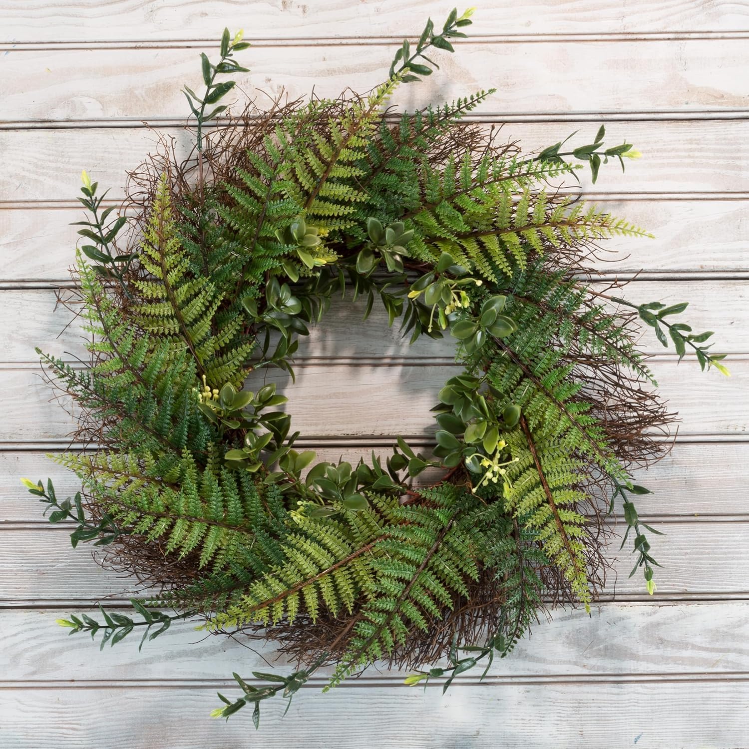 21 Inch Artificial Fern Wreath with Grapevine Base